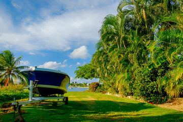 Trailer and a boat on a lawn by a tall tropical vegetation wall near the water, Grand Cayman, Cayman Islands 