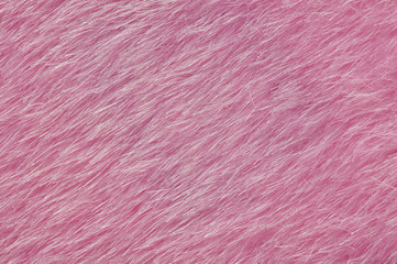 Pink long fur background