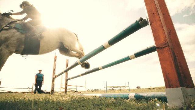 Horse jump the obstacle in slow motion
