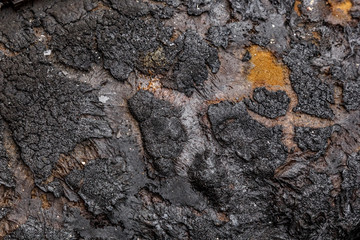 texture of the burned-down passenger compartment upholstery after the fire