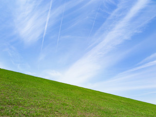 初夏の荒川土手