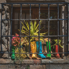 Pots in water boots of different colors