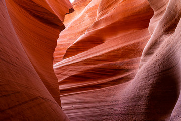 Antelope Canyon