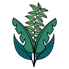 botanical leaf foliage arrangement