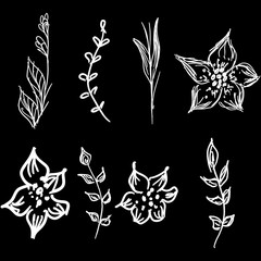 Flowers and branches hand drawn doodle collection isolated on black background. 8 floral graphic elements. Big vector set. Outline collection