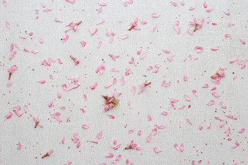 Background of pink flower petals scattered on a gray background