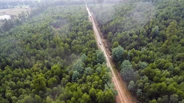 Aerial shot of a rally car in the forest