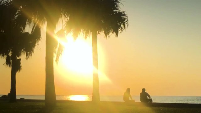 Time Lapse of Palm tree and people near the beach. Araha Beach, Chatan, Okinawa, Japan. Zoom Out