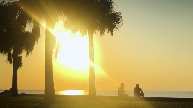 Time Lapse of Palm tree and people near the beach. Araha Beach, Chatan, Okinawa, Japan Zoom Out
