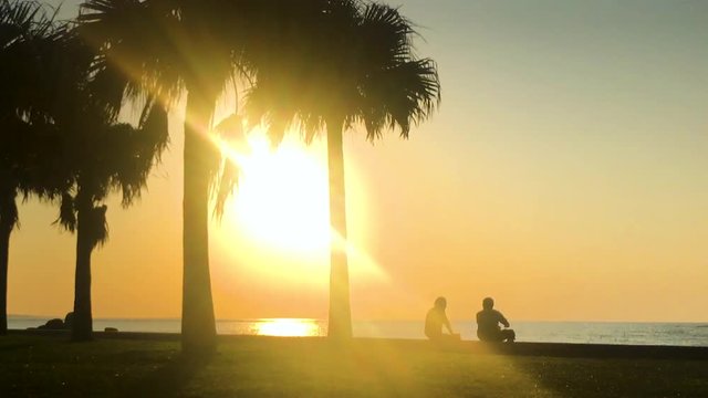 Time Lapse of Palm tree and people near the beach. Araha Beach, Chatan, Okinawa, Japan.