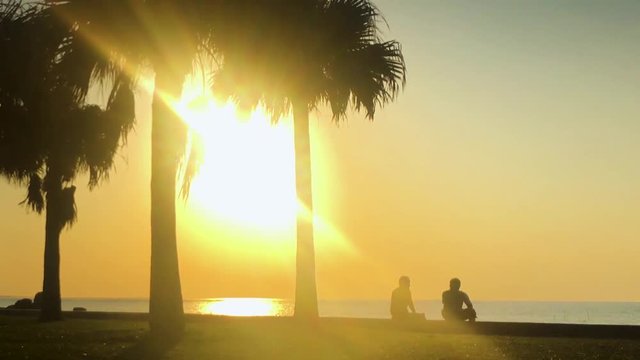 Time Lapse of Palm tree and people near the beach. Araha Beach, Chatan, Okinawa, Japan. Zoom In