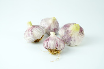 유기농 마늘, 마늘 오브젝트