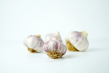 유기농 마늘, 마늘 오브젝트