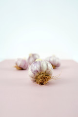 유기농 마늘, 마늘 오브젝트