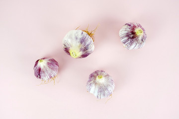 유기농 마늘, 마늘 오브젝트