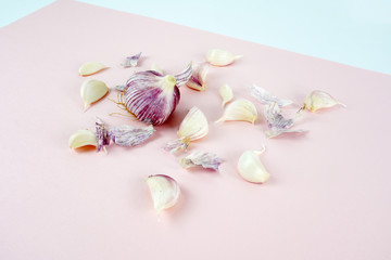 유기농 마늘, 마늘 오브젝트