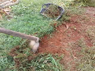 digging in garden