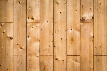 Fototapeta premium Wood texture