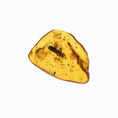 Piece of amber with insects inclusions