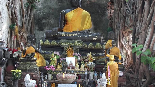 Near my house is a Buddhist temple and it is over 600 years old. The Holy trees have broken the walls and there is no roof.