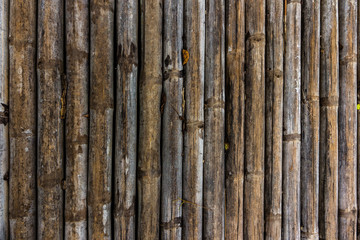 Old bamboo texture