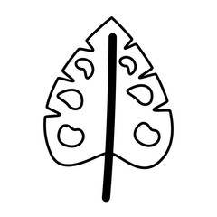 monstera leaf tropical on white background