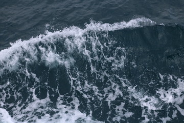 wave on sea