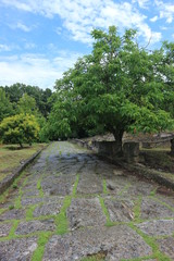 Ancient greek stone road in archaeological siten Dion, Greece