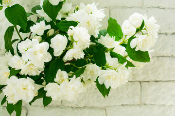 jasmine bouquet against a white brick wall.Copy space