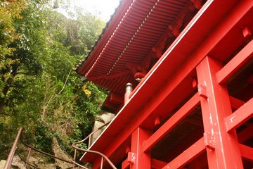 Fototapeta na wymiar 初夏の神社、歴史ある木造建造物