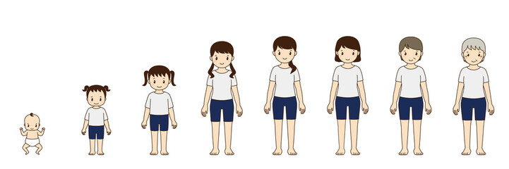 女の子の成長と女性の老化