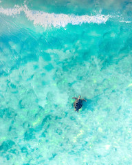 Aerial view of a sea turtle swimming through the blue ocean and wave © FRPhotos