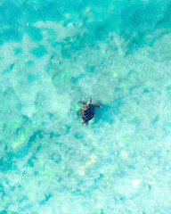 Aerial view of a sea turtle swimming through the blue ocean and wave
