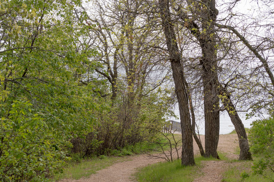 On this sea beach bank, these trees look beautiful © Kanwar dslr Craft