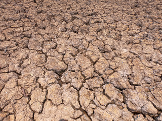 cracked earth on arid area