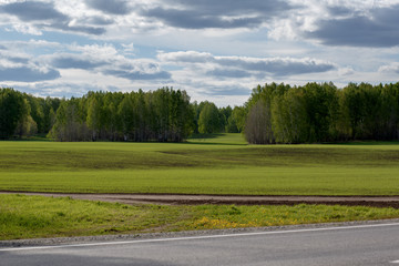  Agriculture. Cultivated field at the edge of the road