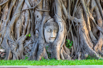 Head of Buddha statue in the tree roots at Wat Mahathat in Ayutthaya Province, Thailand