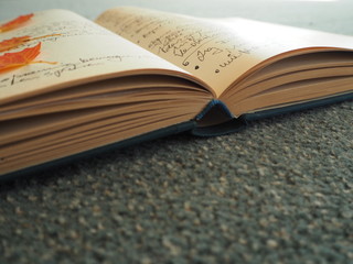 open book on a black background