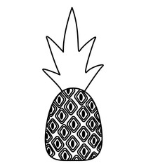 sweet pineapple on white background