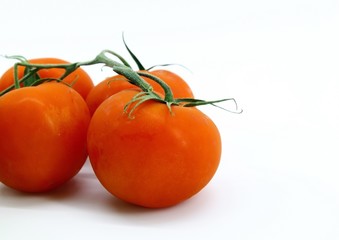 Tomatoes are red on the branch. White background