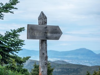 Wooden sign with blue sky trees and clouds at the background.Copy space.