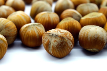 Hazelnut on a white background in an approximate form. Small untreated hazelnuts