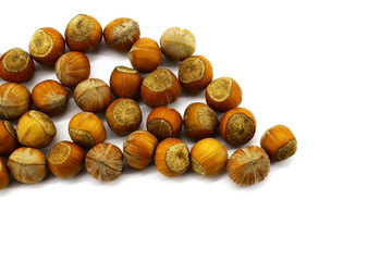 Fresh pure hazelnuts are scattered on a white background. Raw untreated hazelnuts. Brown shell