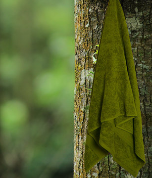 Soft Cotton Bath Towel Hanging Over Beautiful Background. Color And Color Cotton Towel Isolated.