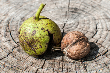 Walnut shell and its green husk closeup on cut wooden trunk background