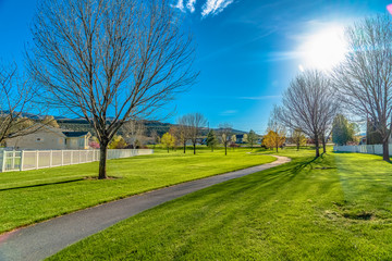 Obraz premium Paved pathway and trees on a lush grassy terrain in the middle of houses