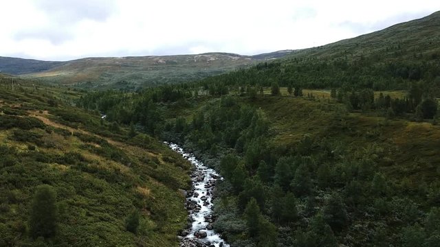 DJI drone view of the landscape between trees and river , Norway.