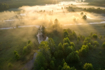 Sun rays on foggy summer meadow aerial view. Vivid nature landscape in sunlight view from above. Amazing sunny river nature with green trees