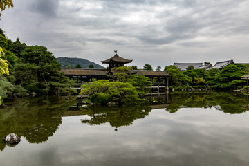 Fototapeta na wymiar japanese park