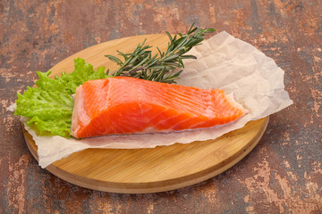 Piece of raw salmon